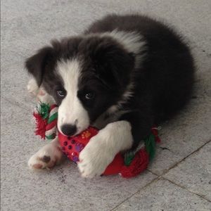 Meet your Posher, Fernanda